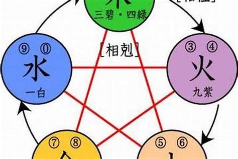 姍 五行|珊字的五行属性